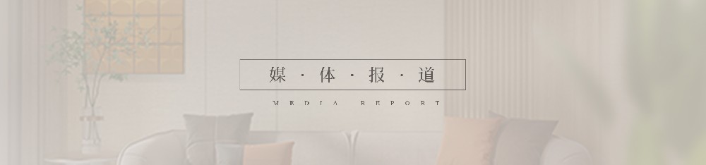 媒体报道
