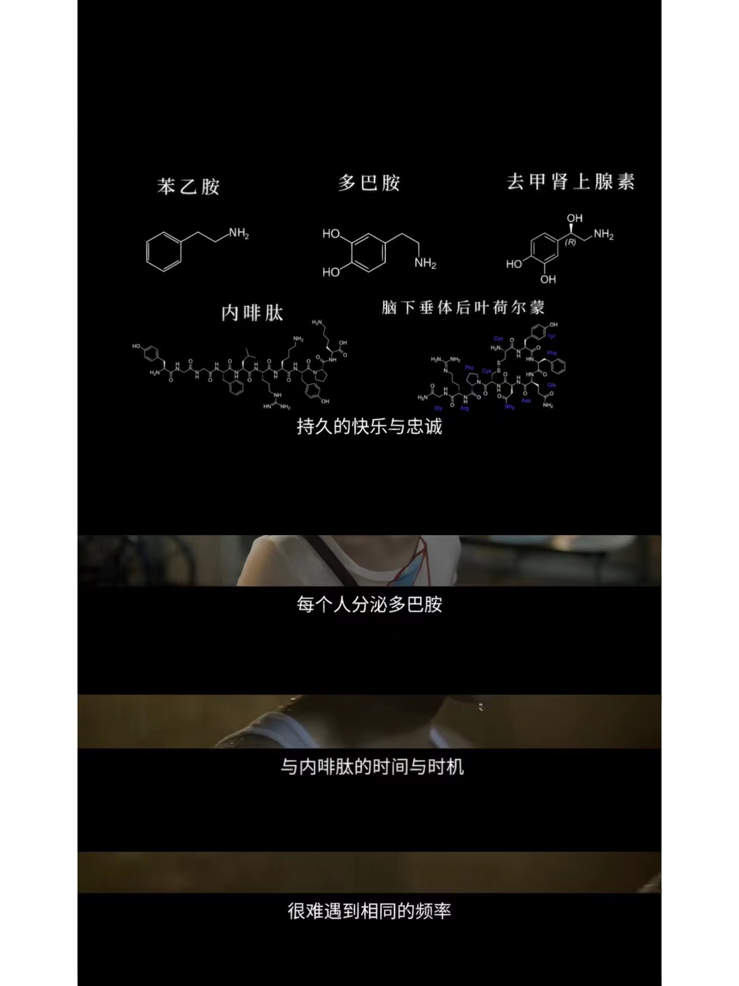 1679015937182543.jpg 微信图片_20230316135356.jpg