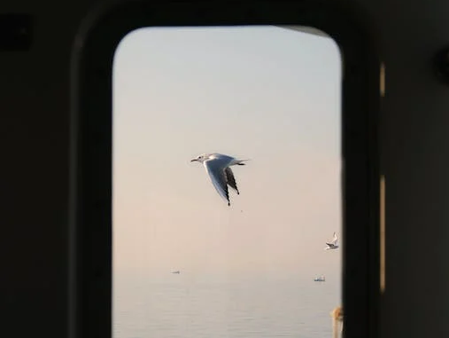 微信图片_20230614091910.png