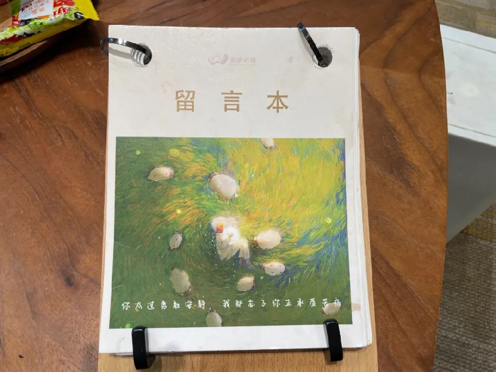 本来咯 | 这次本的内页又被画满啦！
