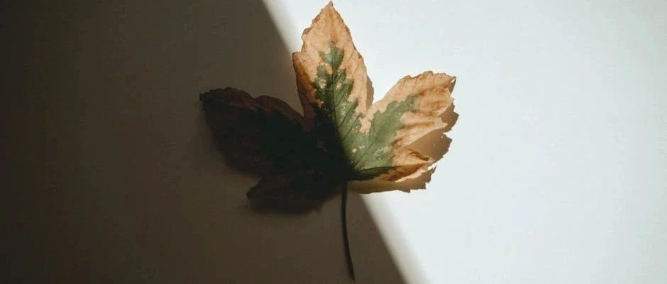 自我关怀指南 | 更年期，不是忍忍就好
