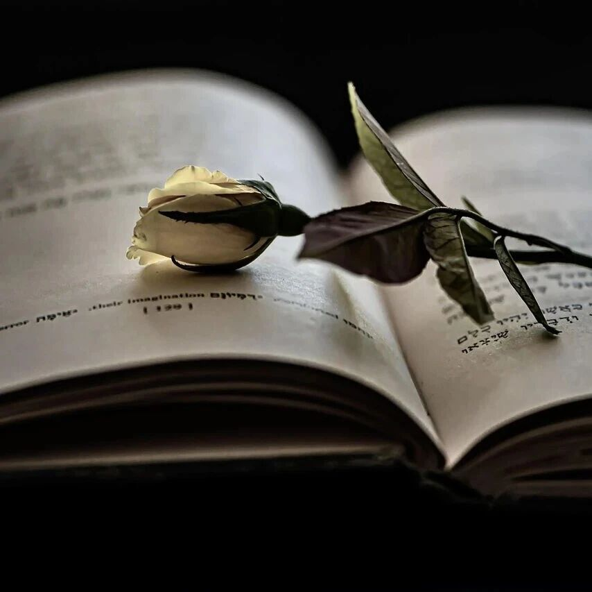 咨询不是“ 搞定 ”家人：改变的前提是“ 自愿 ”