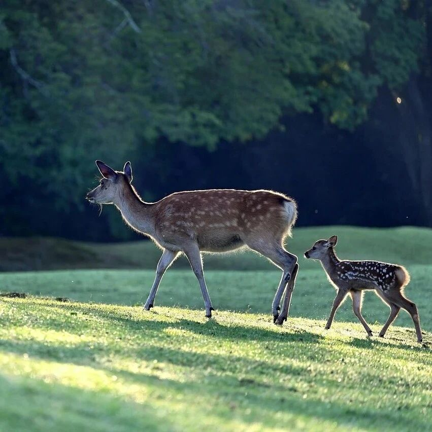 教育部出台10条措施 进一步加强中小学生心理健康工作