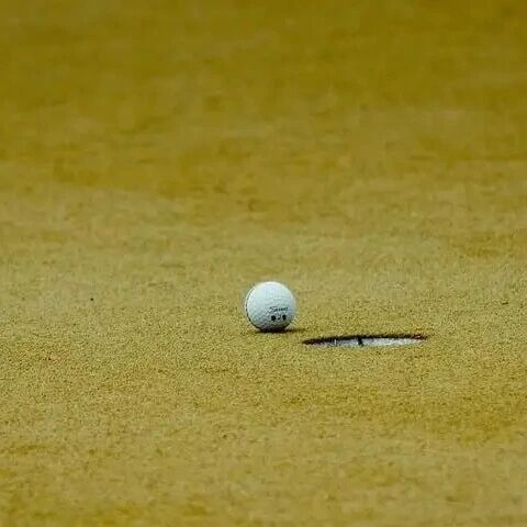 为何我们对 “ 错过 ” 的痛，比失去更难释怀？