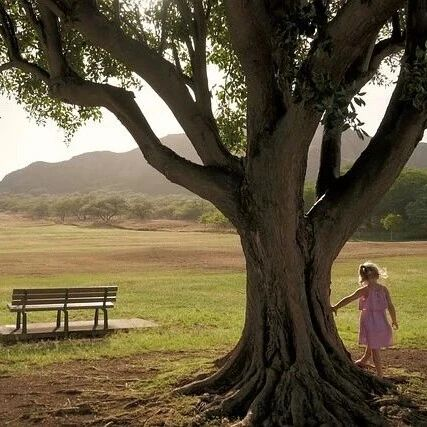 越咨询越脆弱？原来这才是心理变好的关键